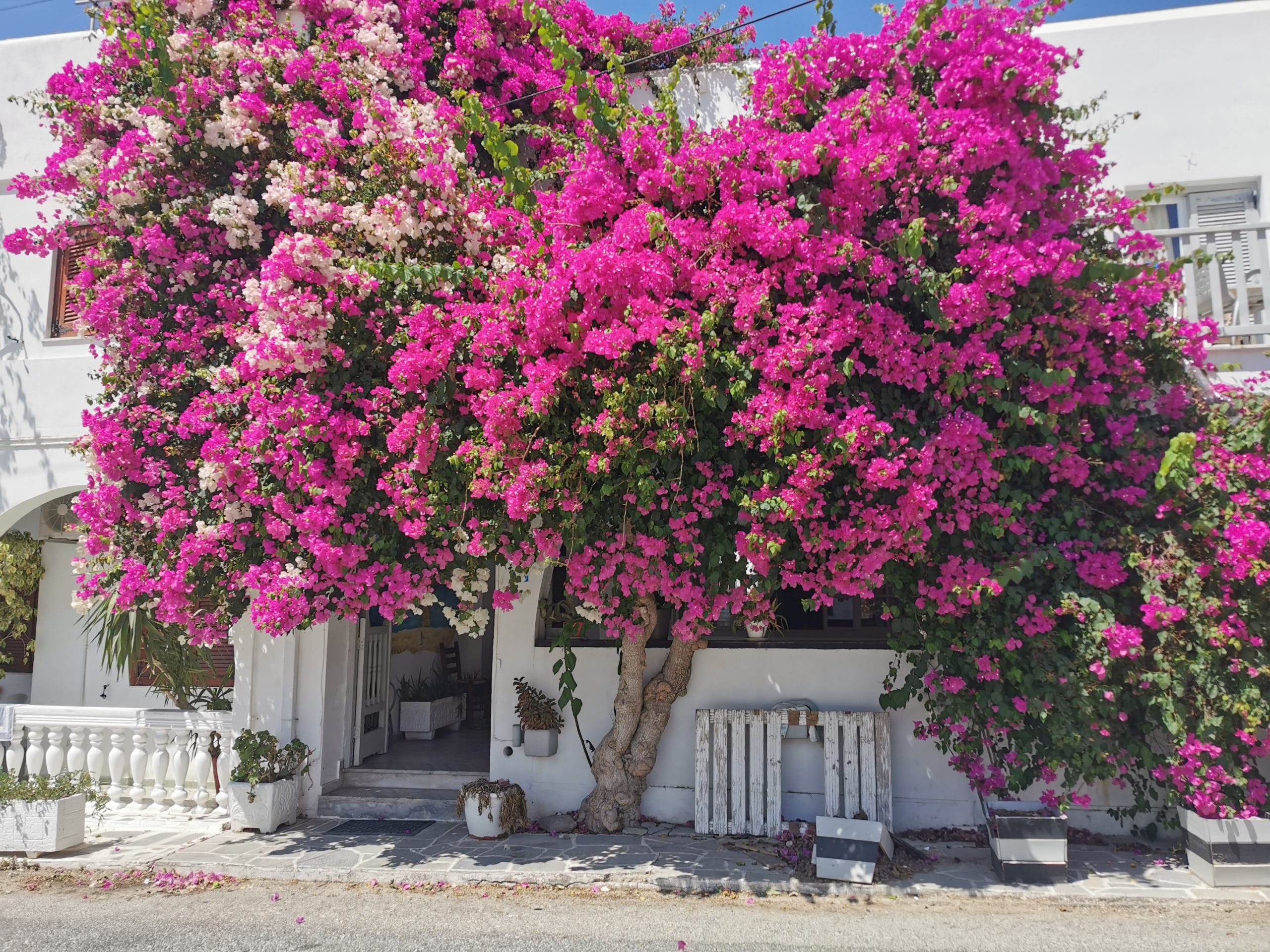 Zakochaj się w cykladzkiej Paros